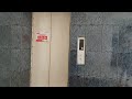 (POWERED BY GENERATOR!!!) A proper video of two Sigma Di elevators at GyoPhyu Condo, Yangon, Myanmar