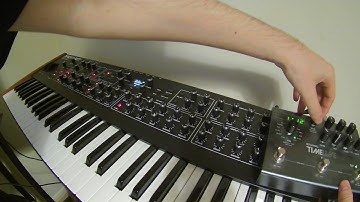 DSI Prophet Rev 2 & Strymon Timeline