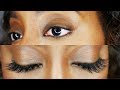 How to Apply False Lashes to Curly Lashes Updated