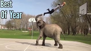 People Are Insane -The best Of This Month/ Mind Blowing Stunts Ep-2 Insane Animater Lakshay