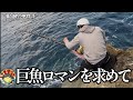 アラ竿をブチ曲げる南方底物達の楽園で一晩巨魚を狙ってみるとまさかの一投目で大物が喰らいつくの巻