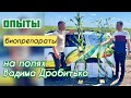 Опыты с биопрепаратами на полях Вадима Дробитько