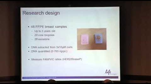 Digital PCR vs. ISH for HER-2 Amplification Assessment in Breast Cancer FFPE Samples