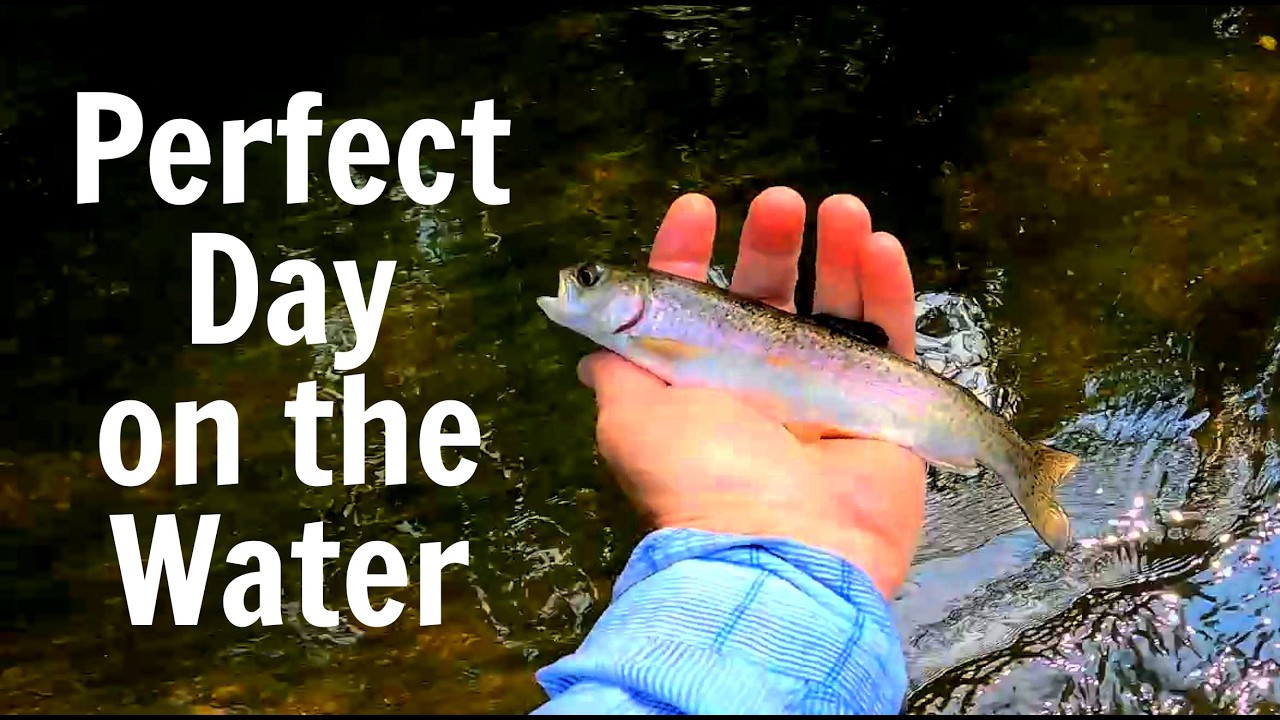 Fly Fishing on the Rifle River: A Perfect Day of Relaxation - YouTube