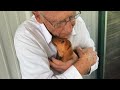 These Dogs Weren’t Wanted… Until They Became Dad’s Favorite Child 🤣