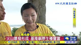 八大民生新聞▼封島5年 台灣龍珠基隆嶼將開放 2019061904