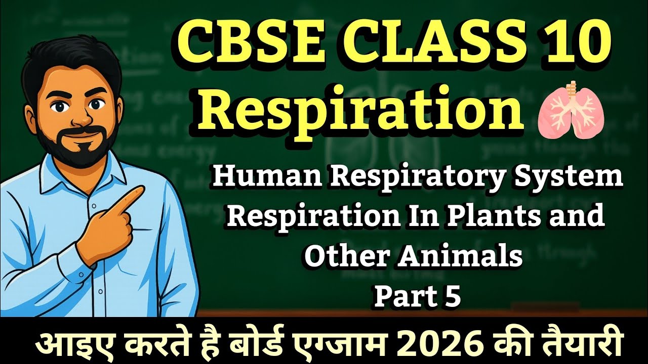 Cbse Class 10 Chapter 5 Life Process Part 5। Human Respiratory System ...