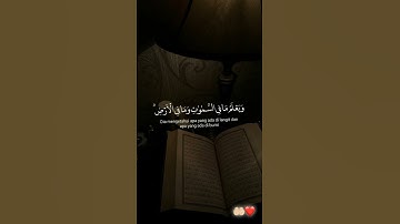 قل إن تخفوا ما في صدوركم أو تبدوه يعلمه الله || القارئ إسلام صبحي