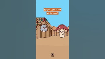 Can’t Understand What’s Wrong 🐦 Mushie & Birdie | Animation Meme | Original Audio: @zaydante