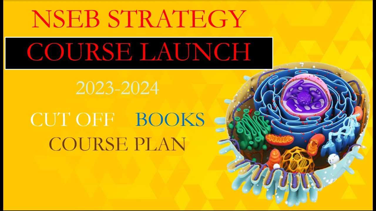Game Changing NSEB Strategy Launching A Course For Success In 4 Months game-changing-nseb-strategy-launching-a-course-for-success-in-4-months