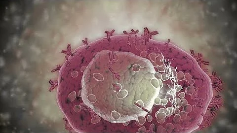 Mast Cells: Strategic Granulocytes