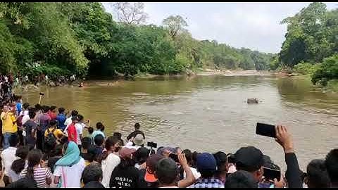 Williamnagar (Rongkhem) Simsang o mande gimagipa...🌊🌊🌊