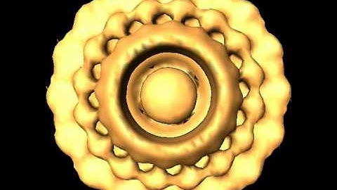 2006 In-Situ Structure of T. primitial Flagellar Motor