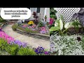 HERMOSO CAMBIO EN EL JARDÍN muchas petunias y más flores