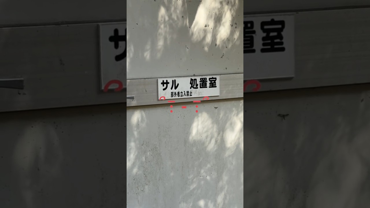 動物実験場廃墟 #shorts #もあ様 #心霊 #なまもの #廃墟 #廃村