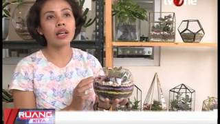 Download lagu 20170321 RUANG KITA #1038 SEG TREN TANAMAN TERARIUM