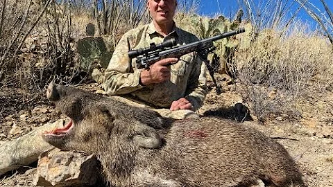 Javelina Hunting in Arizona with a Handgun - Arizona Guided Hunts and Tom Lund