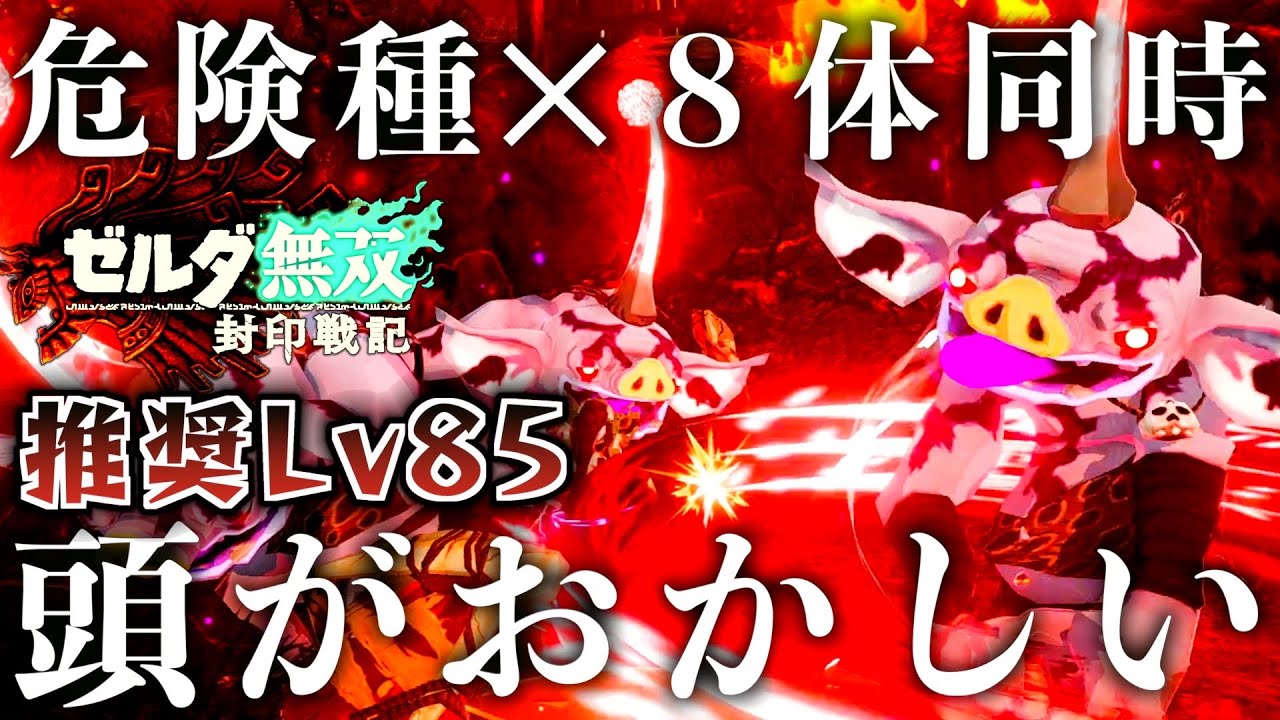 ゼルダ無双、ペーパーマリオ Eight secret bosses appear at once! The last stage with a