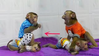 0H Geez Big Brother D0Do Pity Little Moly When D0Nal Sitting On So D0Do Warning Spoil D0Nal