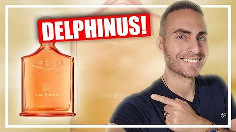 One of THE BEST Releases of 2024? | CREED Delphinus Perfume Review!