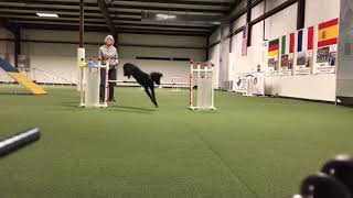 Ashe Jump commitment week 1