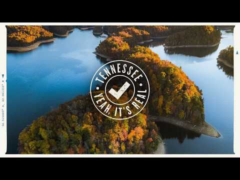 Tennessee Real Seal | Yeah, It’s Real :30