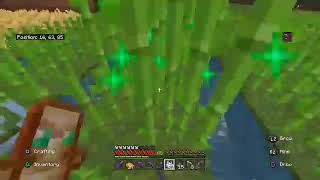 No Commentary Sandy Stream