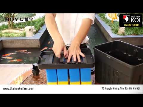 Video Hướng dẫn lắp đặt và sử dụng lọc thùng hồ koi Boyu YT... - youtube
