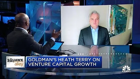 Goldman Sachs' Heath Terry on tech regulation and ...
