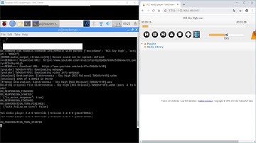 Play Website Music with the Google Assistant on Raspberry Pi