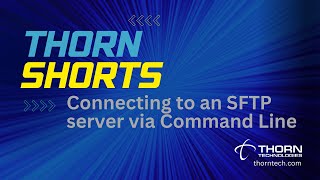 Connect to an SFTP server via Command Line screenshot 1