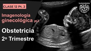 12.2 -  Imagen en Obstetricia 2o Trimestre