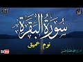سورة البقرة طاردة الشياطين بصوت هادئ ومريح جدا جدا تلاوة هادئة للنوم والراحة النفسية 