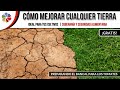 🌱 Cómo MEJORAR TIERRA ARCILLOSA Y COMPACTADA GRATIS | (Preparando el bancal de Tomates)