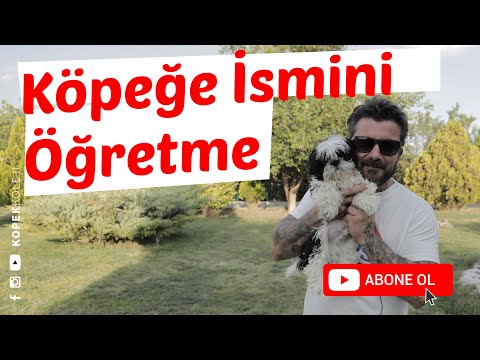 Video: Bir Köpeğe Nasıl Isim Verilir