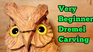 Beginner Dremel/foredom Wood Carving a Silly Little OWL using Kutzall Carving  burrs. 