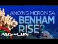 ABS-CBN News Digital: Bakit mahalaga ang Benham Rise?