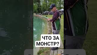 #youtubeshorts #youtuber #fishing #рекомендации #рек #рыбалка #врек