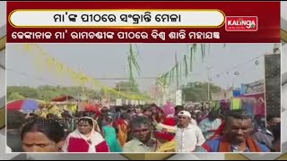 Makar Sankranti Celebrated In Maa Dapa Nayakani Temple In Bhadrak || KalingaTV