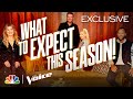 A Virtual Audience, Distancing and More Creative Solutions for an Unprecedented Season - Voice 2020