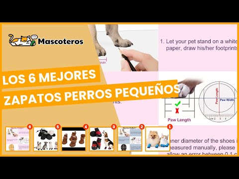 Video: Cómo mantener los pies de los perros seguros en el pavimento caliente y la arena