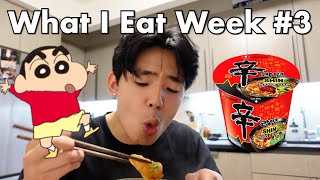 What I Eat in A Week: Korean Food Only