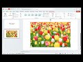 How to Reduce the File Size of a PowerPoint (Easy Trick for Compressing File Size!)
