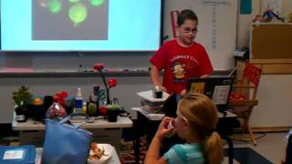 Cultural celebration What is your ethnicity third grade presentation