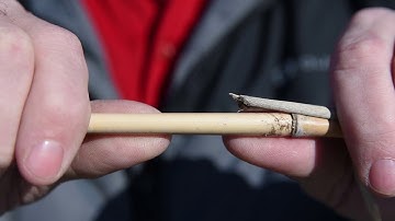 Introduction to Miscanthus in Ontario