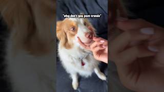 Well.. That Escalated Quickly..