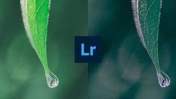 Mobile Lightroom presets | Dark & Moody Filter