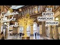 Италия /Витрины Galleria Alberto Sordi /Где живут кошки в РИМЕ Largo di Torre Argentina