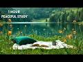 Serene Lakeside Study Space | Gentle Forest Ambience 1 Hour