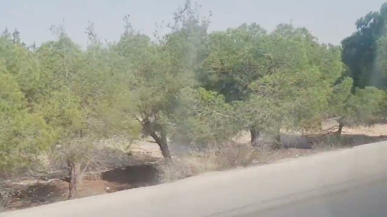 فيروز الصباح و جمال طريق دمشق حمص الدولي